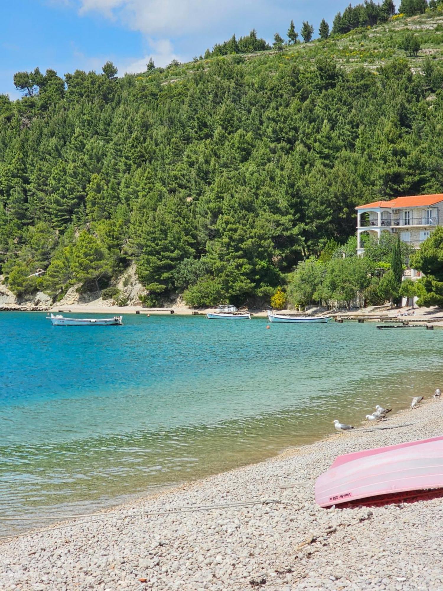 Villa Roing S Stanici 外观 照片